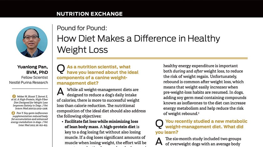 Nutrition Exchange&rsquo;s How Diet Makes a Difference in Healthy Weight Loss