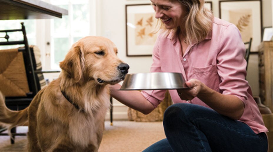 A dog owner holding a bowl to the dog&rsquo;s nose.&nbsp;