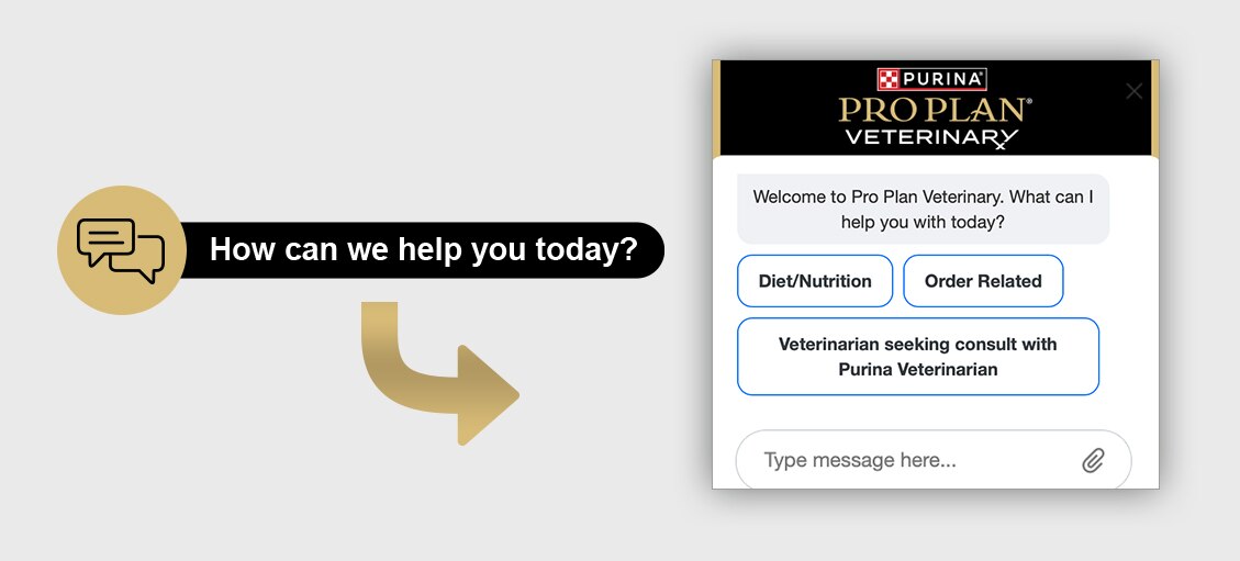 A screen capture of the P4P Retriever bot chat with a “How can we help you today?” callout.