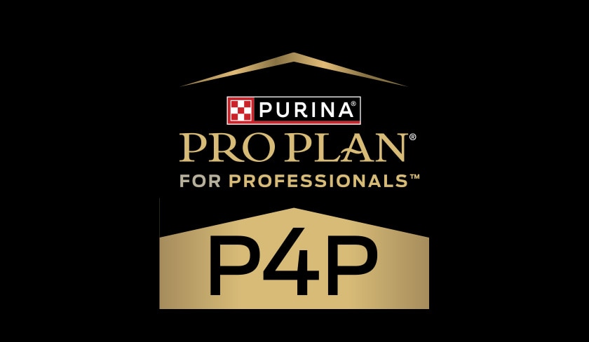 Pro Plan for Professionals logo