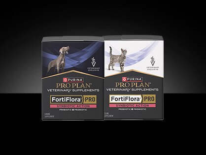 Canine and feline Pro Plan Veterinary Supplements FortiFlora® PRO Synbiotic Action Probiotic packages