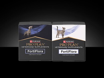 Canine and feline Pro Plan Veterinary Supplements FortiFlora&reg; Probiotic packages. 