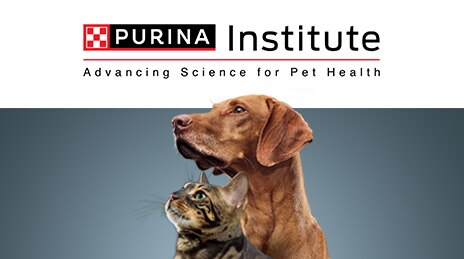 Purina Institute logo above photo of dog and cat.