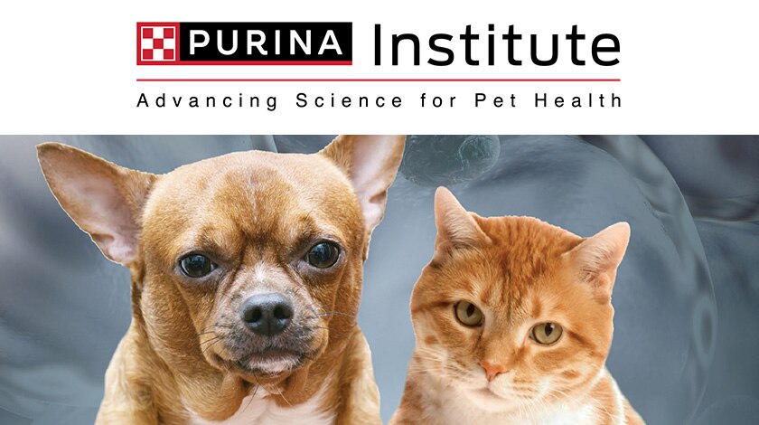 Purina Institute logo with image of dog and cat