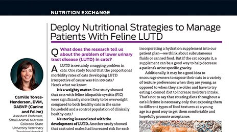 Image of urinary health research.